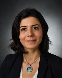 Photo of Parisa Shokouhi